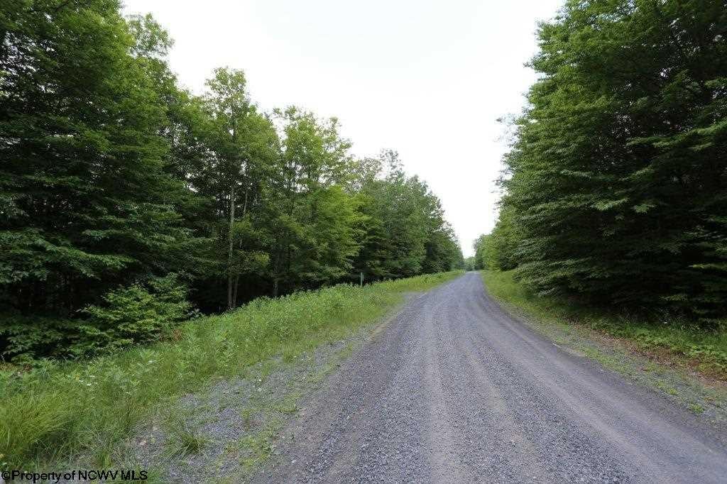 188 Cabin Mountain Road Davis, WV 26260 - Photo 15 of 15 Gallery Image 15