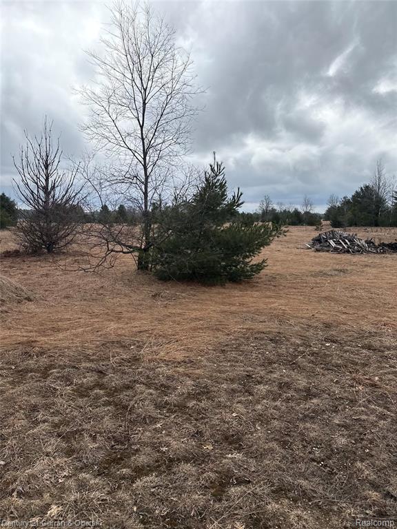 0 Vroom Rd Sw South Boardman, MI 49680 - Photo 2 of 2