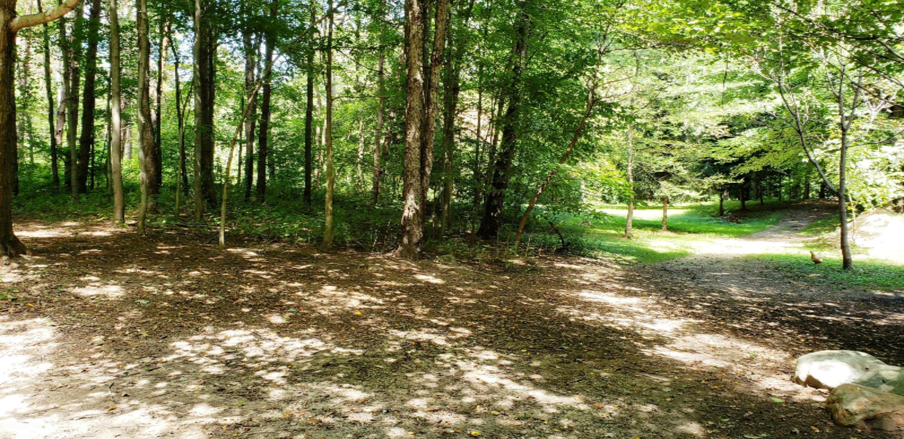 10150 Dutch Settlement Road Marcellus, MI 49067 - Photo 44 of 50 20190907_135042