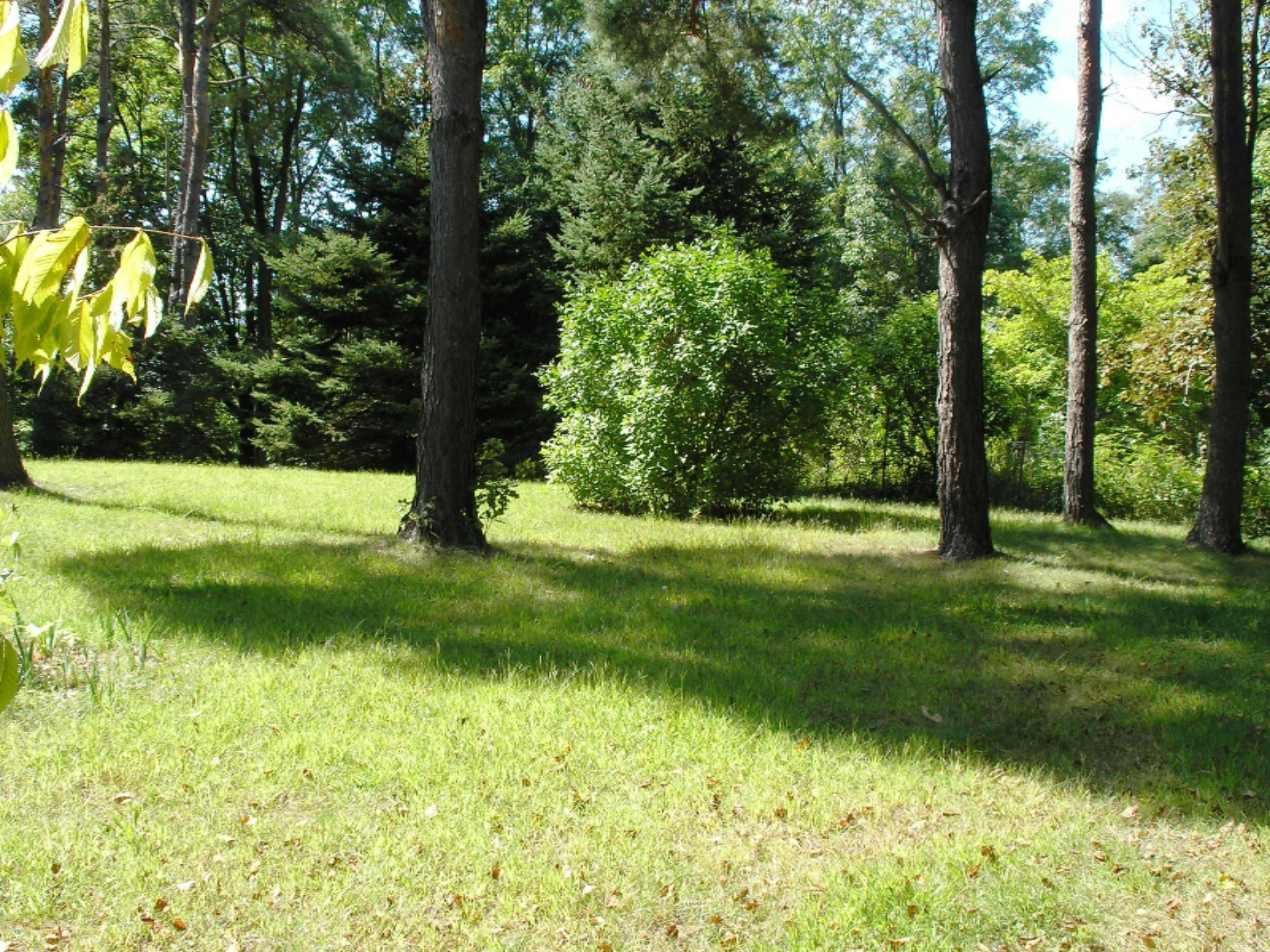 10150 Dutch Settlement Road Marcellus, MI 49067 - Photo 46 of 50 10150 Dutch Settlement 004