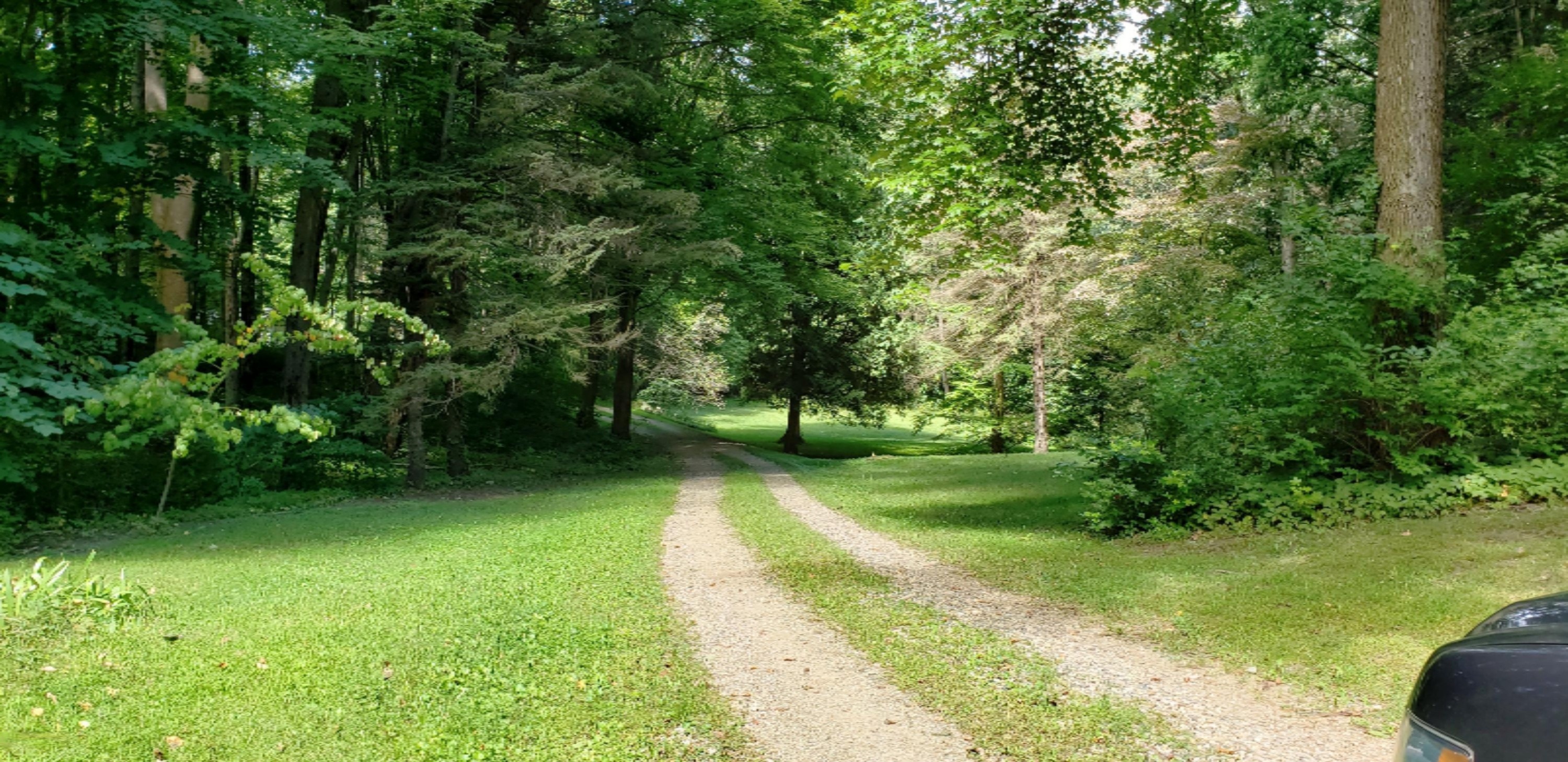 10150 Dutch Settlement Road Marcellus, MI 49067 - Photo 49 of 50 20190907_134921