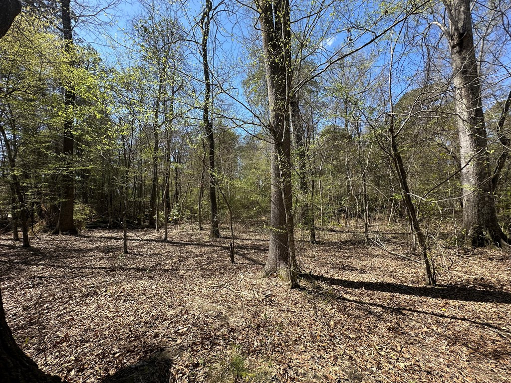 Tbd Tbd Noble Brookhaven, MS 39601 - Photo 4 of 9 Photo 4