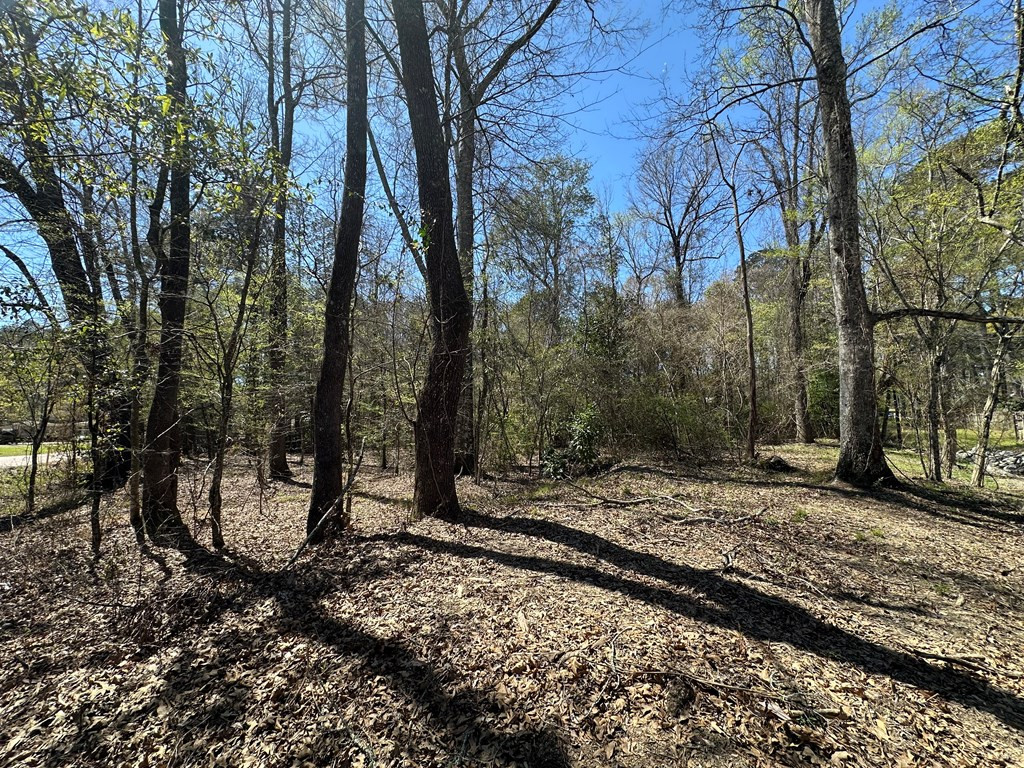 Tbd Tbd Noble Brookhaven, MS 39601 - Photo 5 of 9 Photo 5