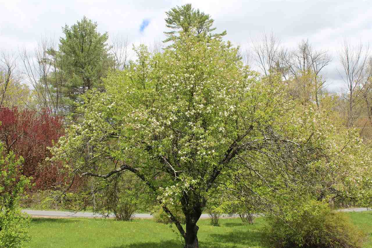 27 Hillside Road Norwich, VT 05055 - Photo 26 of 26