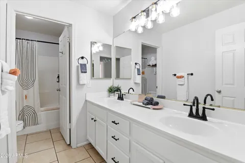 a bathroom with a sink a potted plant and a mirror