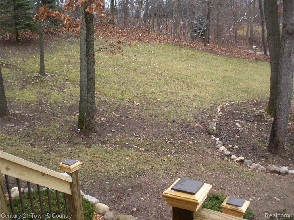 Large front yard