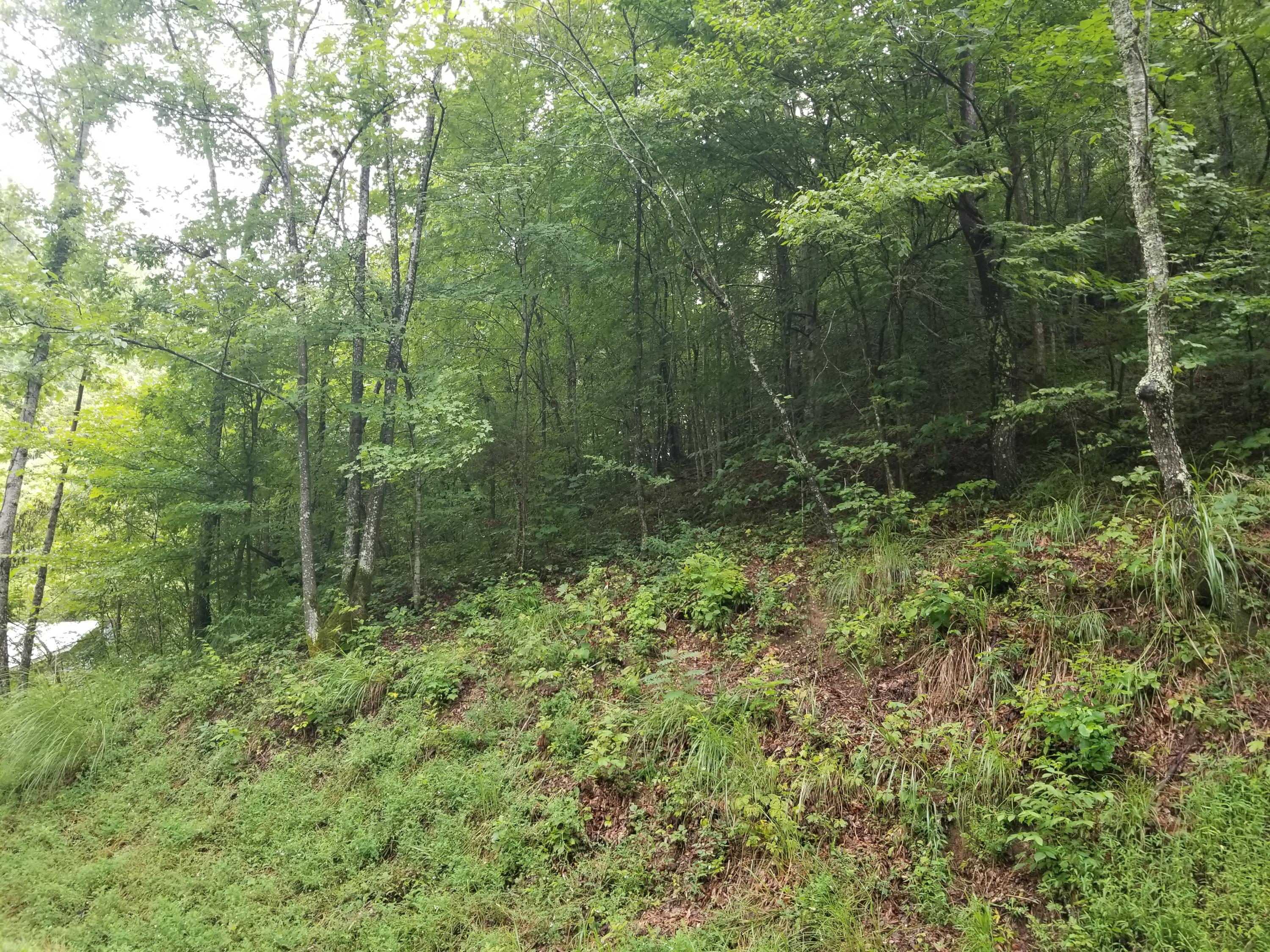 Flower Gap Road Blackwater, VA 24221 - Photo 12 of 12 20190718_105612
