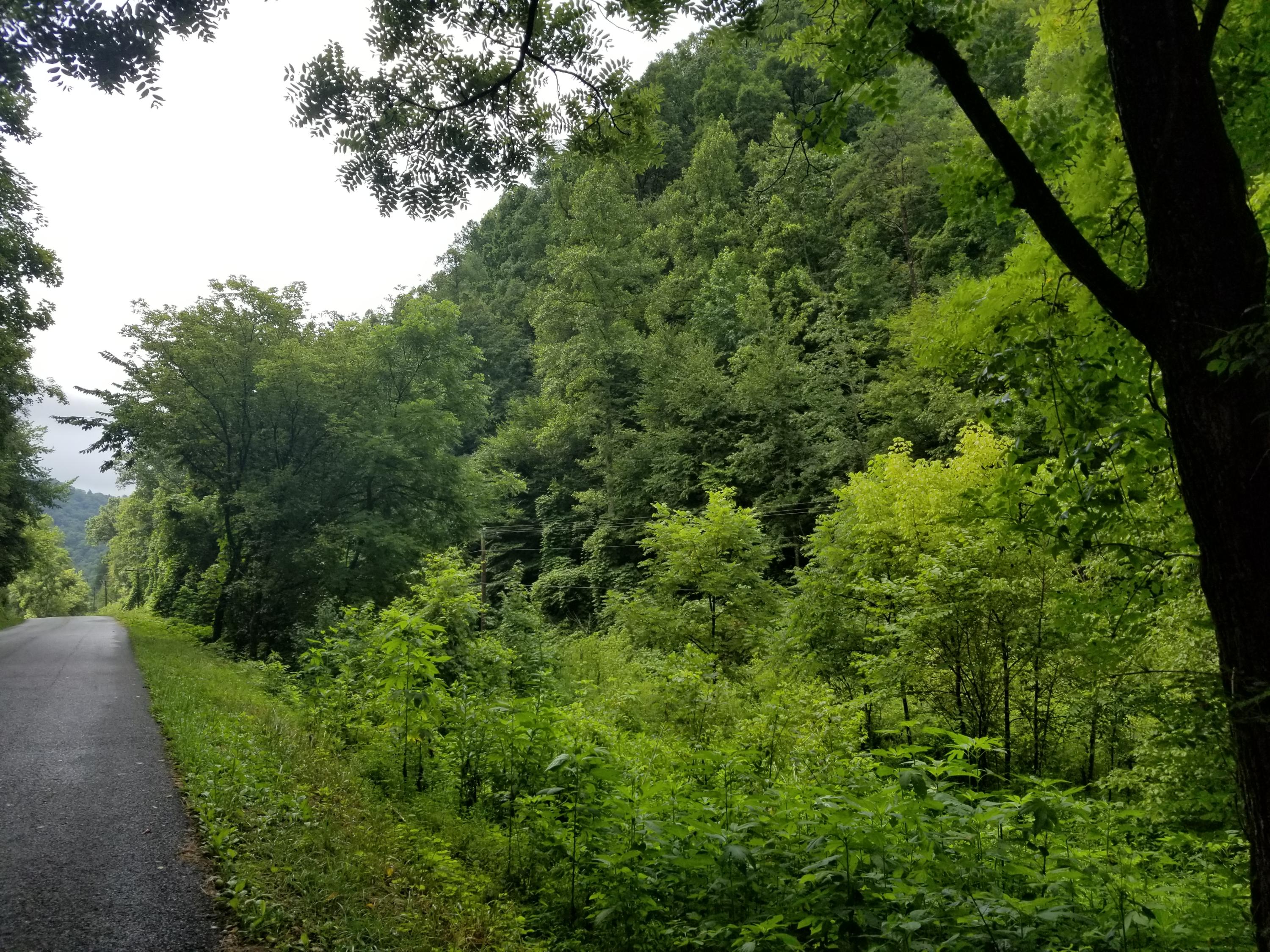 Flower Gap Road Blackwater, VA 24221 - Photo 4 of 12 20190718_105527