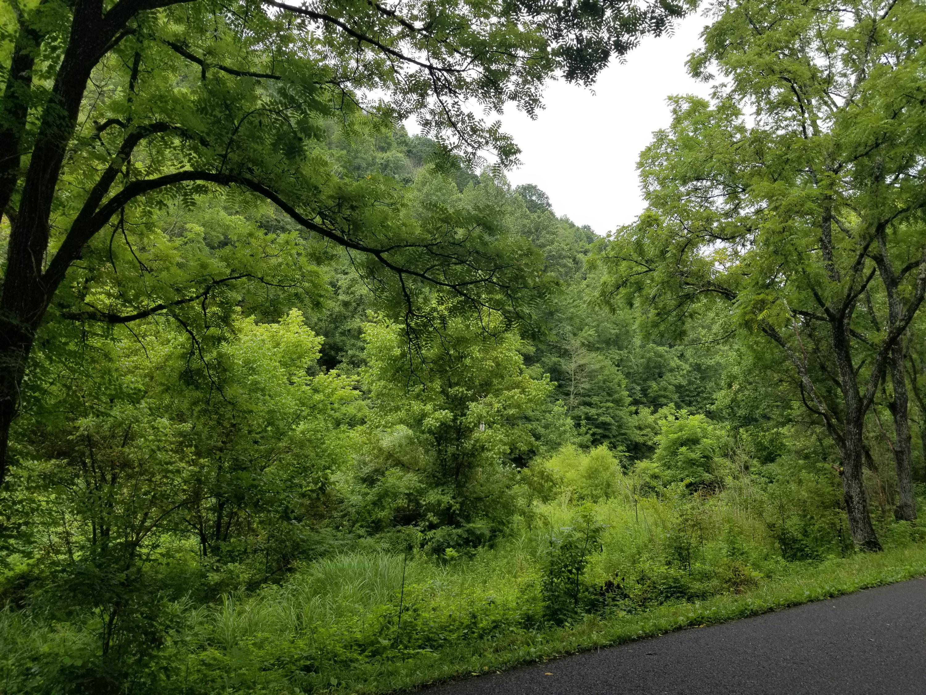 Flower Gap Road Blackwater, VA 24221 - Photo 6 of 12 20190718_105600
