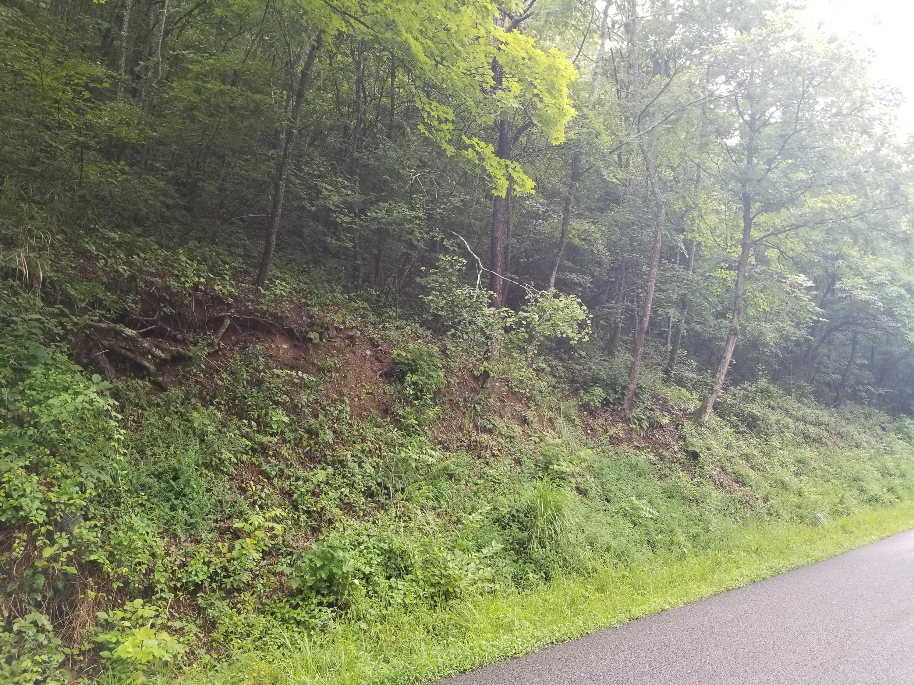 Flower Gap Road Blackwater, VA 24221 - Photo 7 of 12 20190718_105649