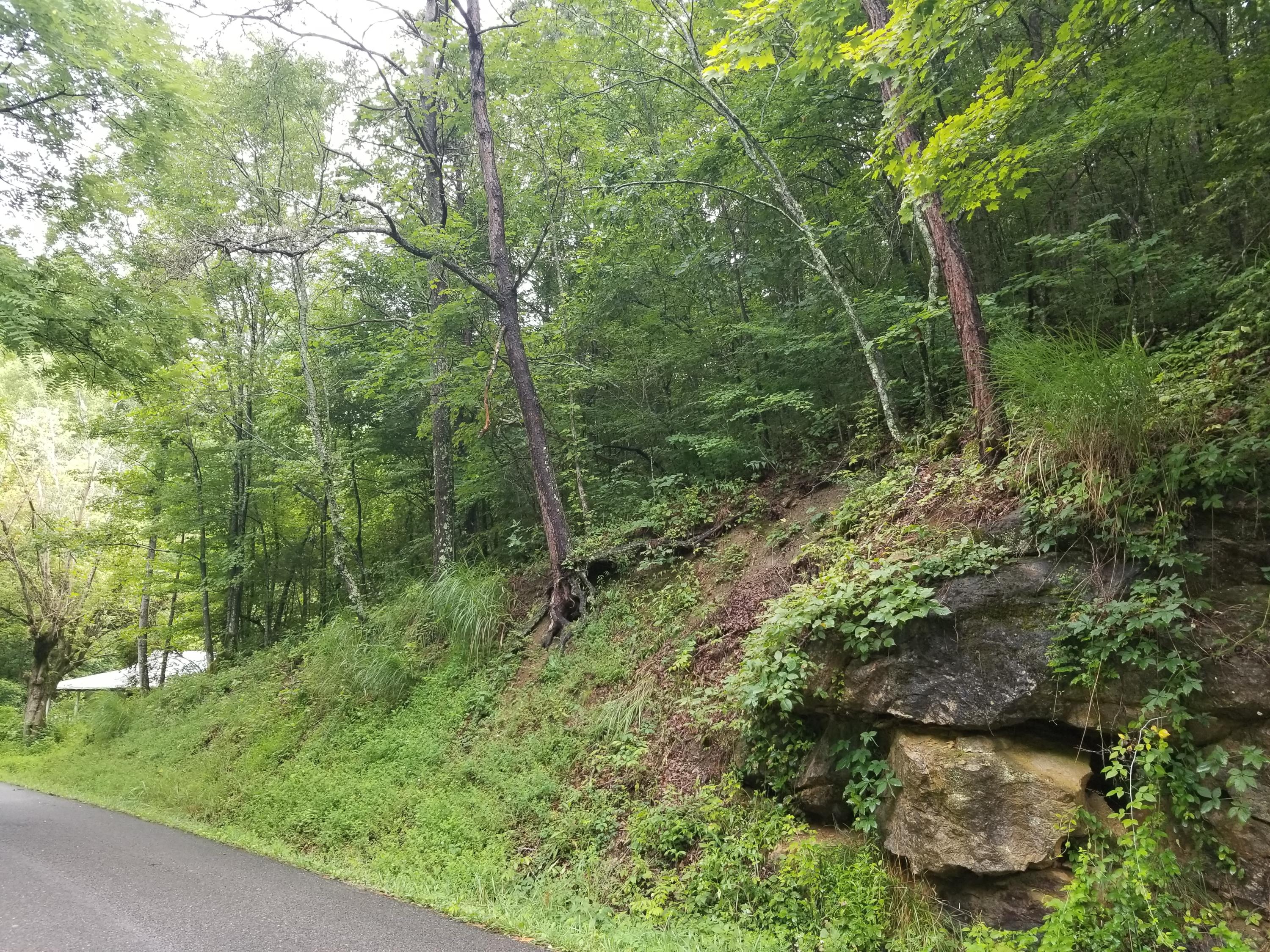 Flower Gap Road Blackwater, VA 24221 - Photo 8 of 12 20190718_105645