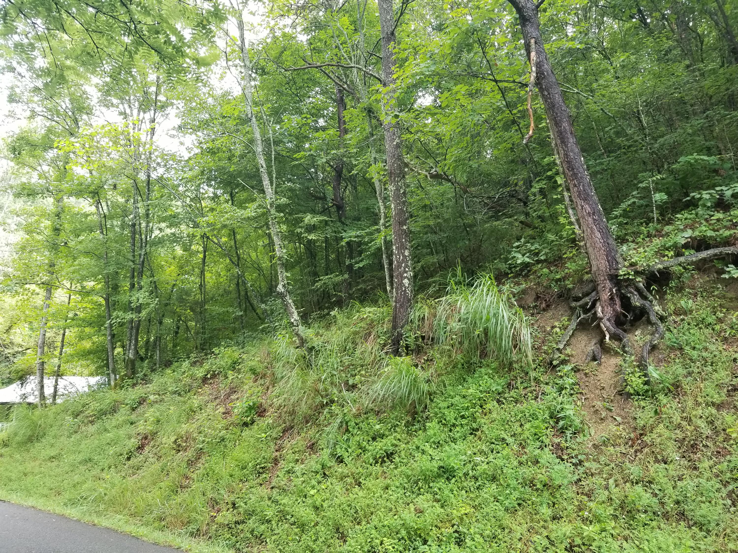 Flower Gap Road Blackwater, VA 24221 - Photo 10 of 12 20190718_105628