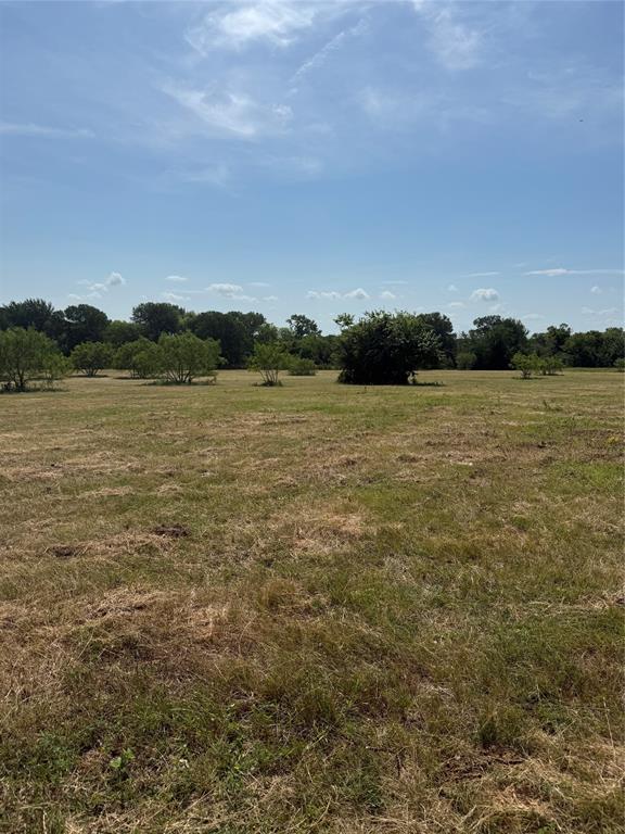 Lot 5 Fm Road Terrell, TX 75161 - Photo 12 of 12 a view of an ocean