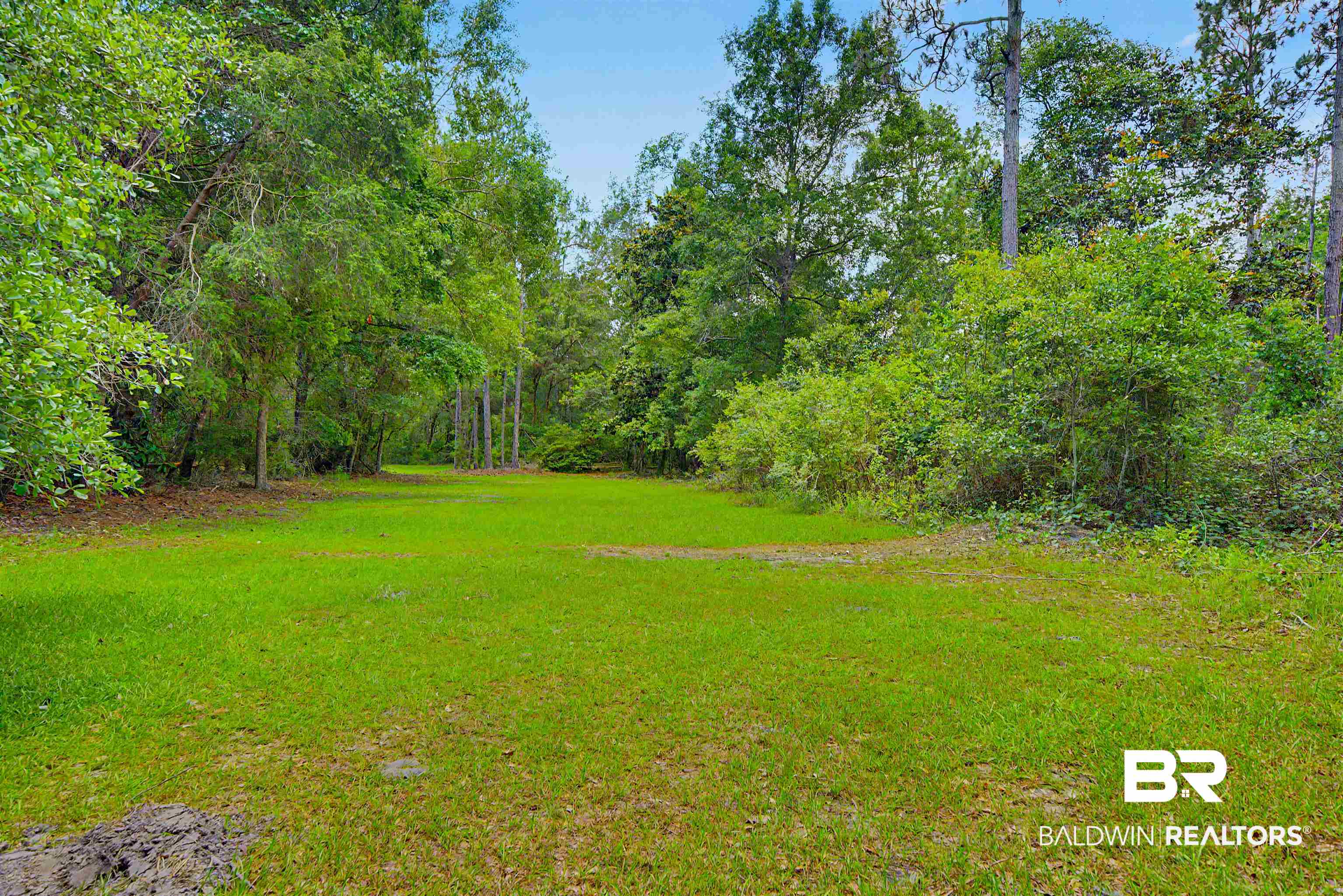 22963 Highway 98 Foley, AL 36535 - Photo 41 of 52 Expansive open field surrounded by mature deciduous and evergreen trees