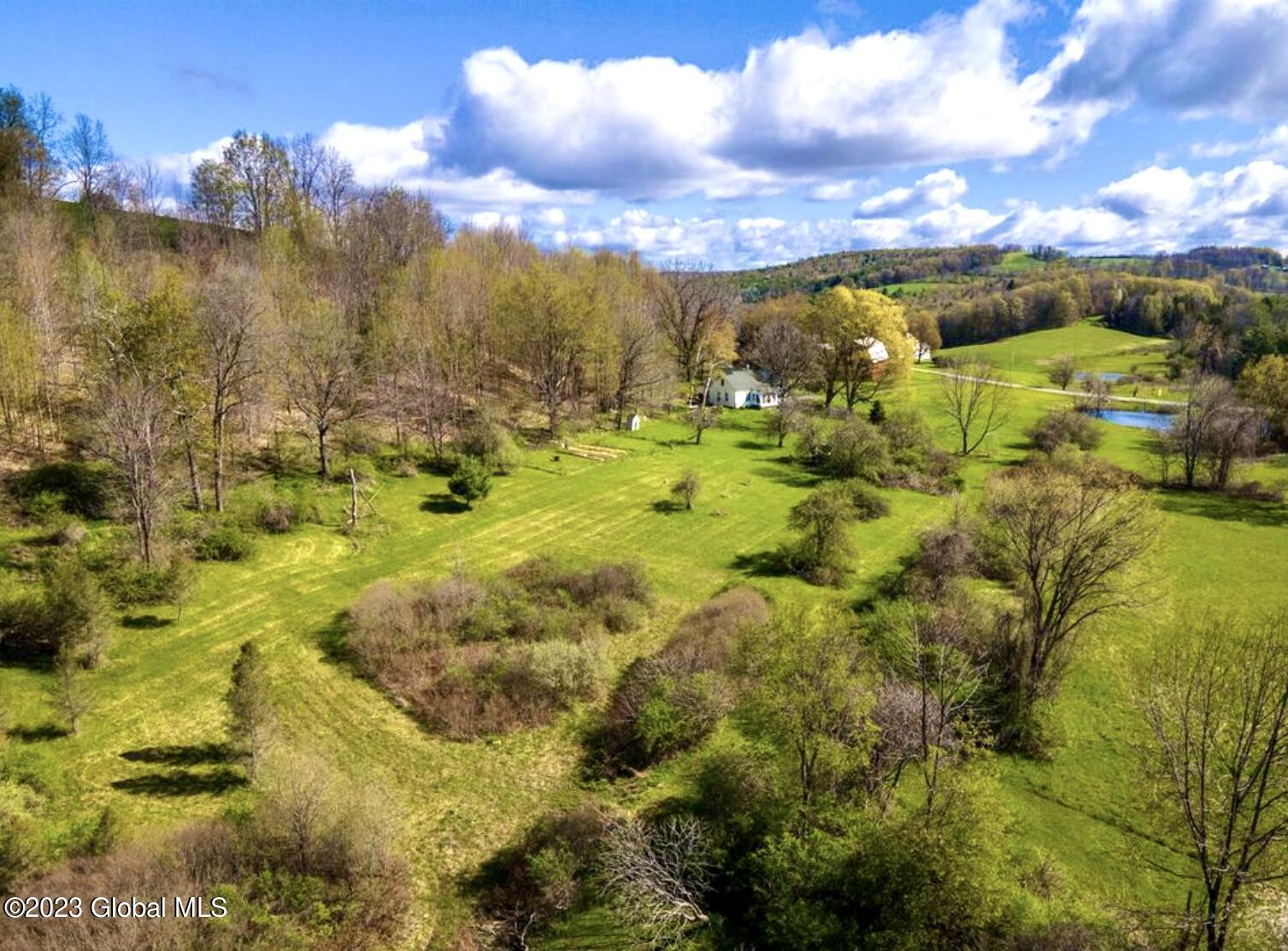 317 Hubb Shutts Road Cobleskill, NY 12043 - Photo 26 of 31 meadows 3