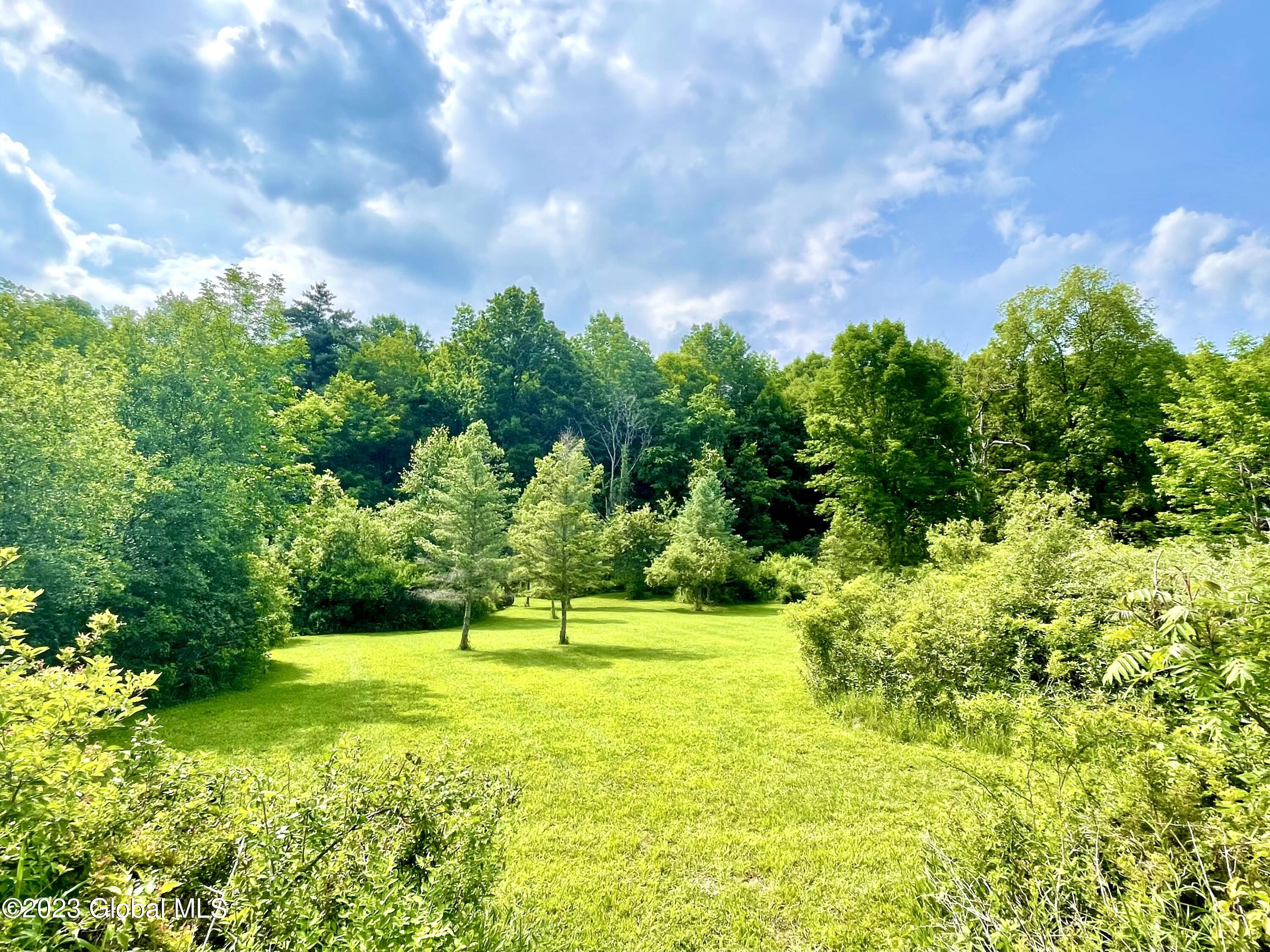 317 Hubb Shutts Road Cobleskill, NY 12043 - Photo 29 of 31 meadows 2