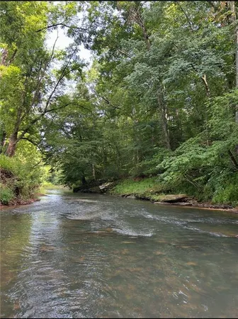 a view of a forest with trees