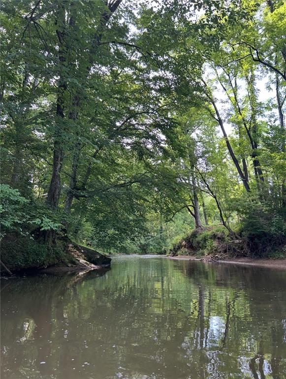 1560 Howell Bridge Road Ball Ground, GA 30107 - Photo 13 of 14 a view of lake