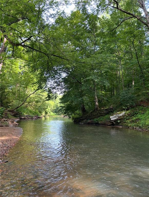 1560 Howell Bridge Road Ball Ground, GA 30107 - Photo 10 of 14 a view of a lake view