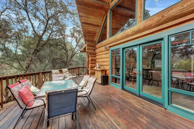 a view of a forest with a tree