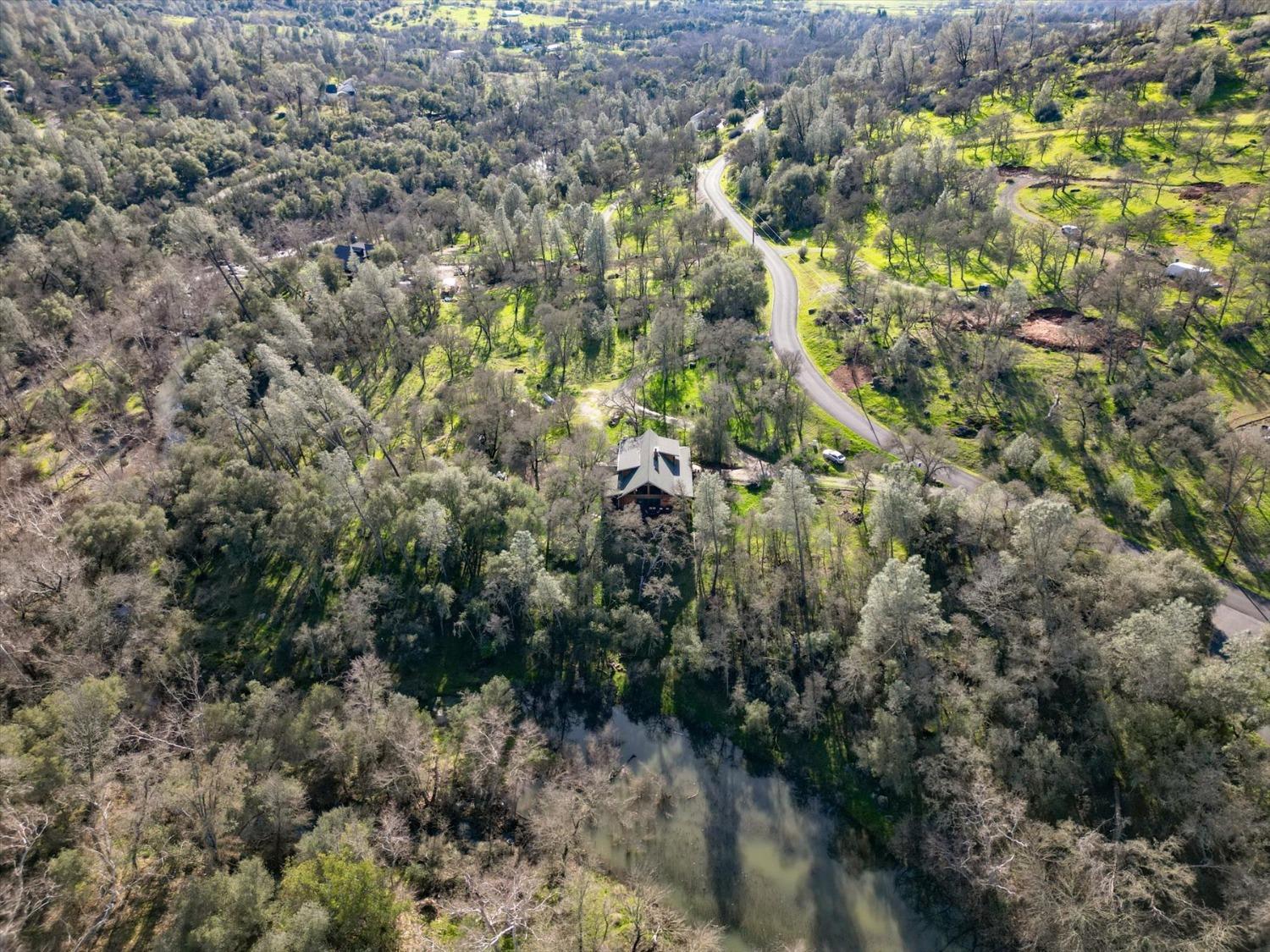 9844 Township Road Browns Valley, CA 95918 - Photo 30 of 35 a view of a forest with a tree