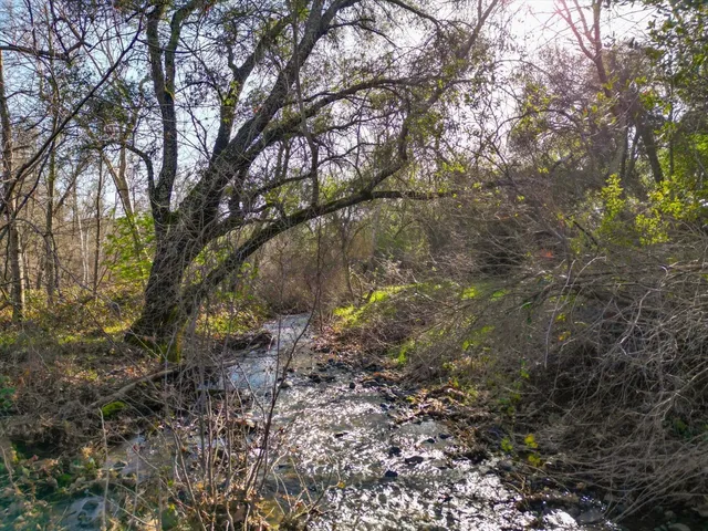 a view of water with a yard