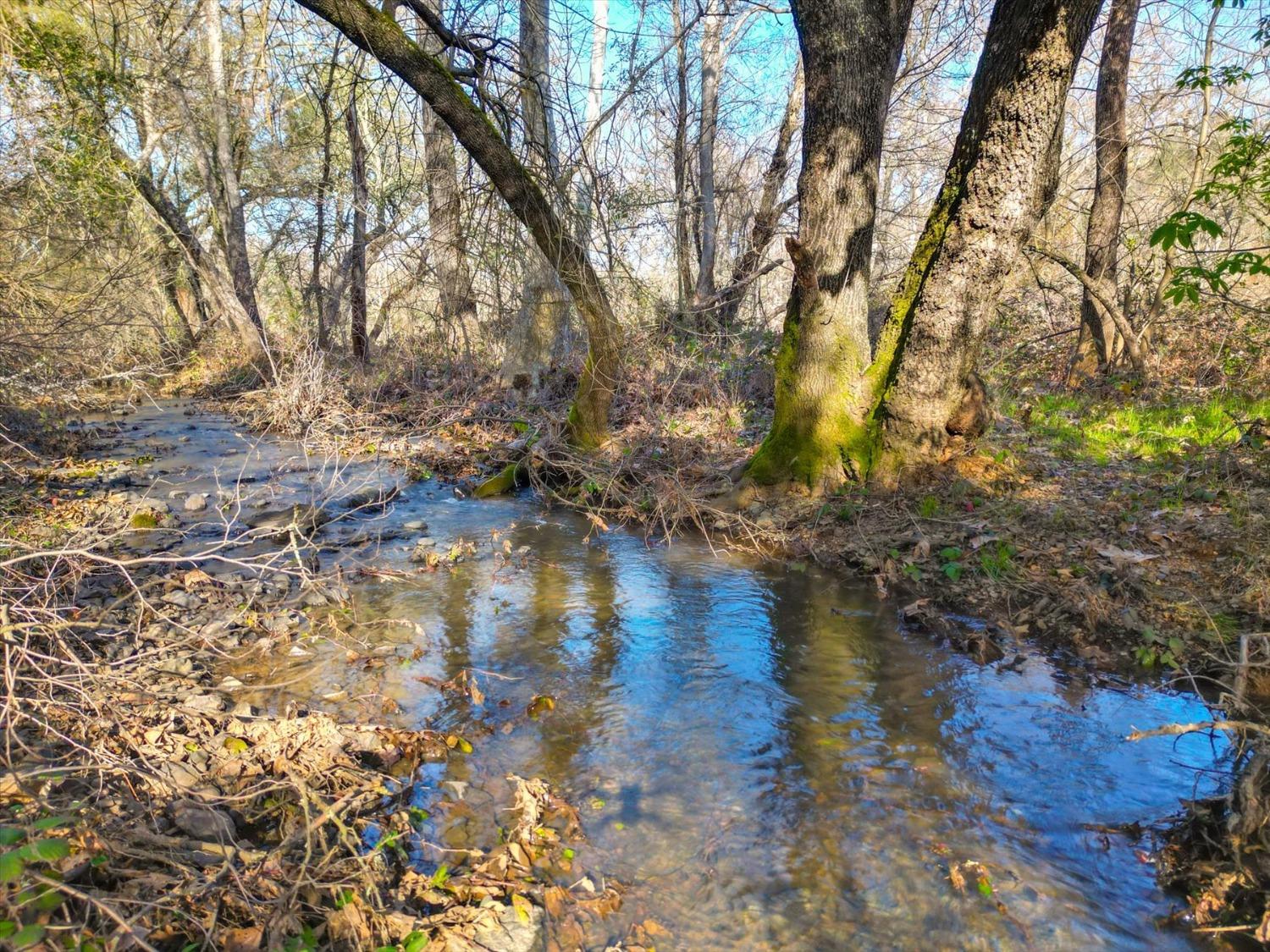 9844 Township Road Browns Valley, CA 95918 - Photo 33 of 35 a view of water with a yard