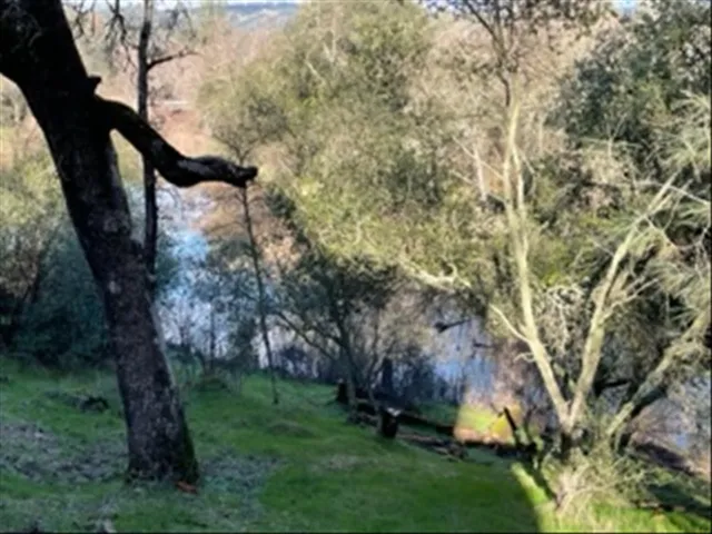 a view of a yard in a yard