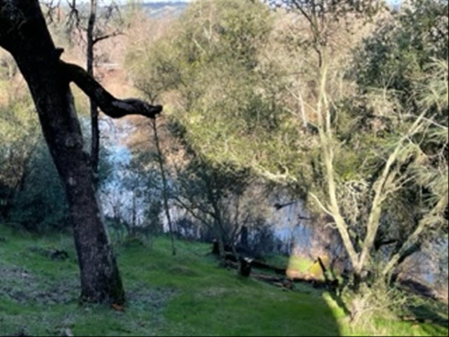9844 Township Road Browns Valley, CA 95918 - Photo 8 of 35 a view of a yard in a yard