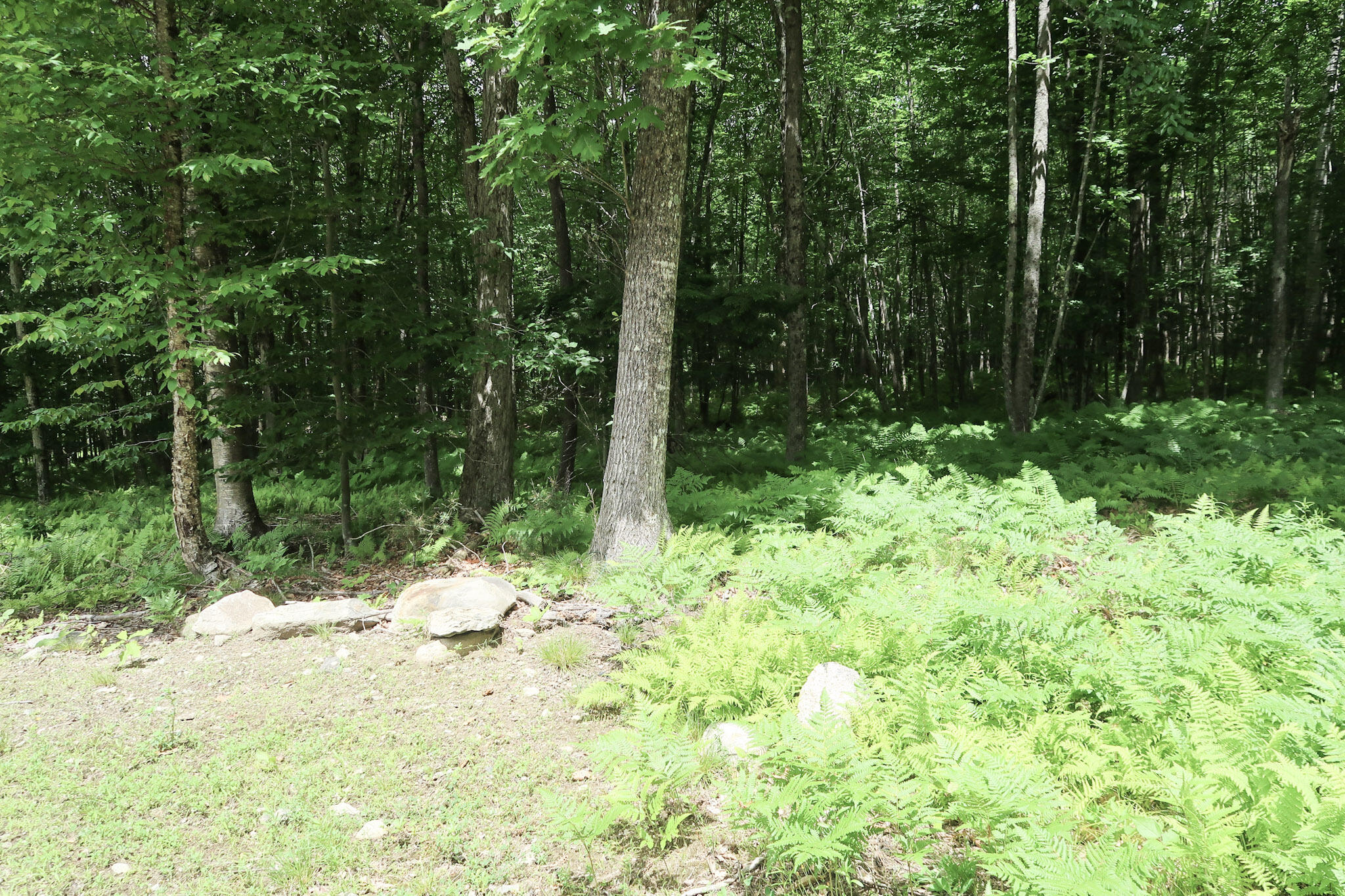 16 Lovejoy Lane Readfield, ME 04355 - Photo 51 of 63
