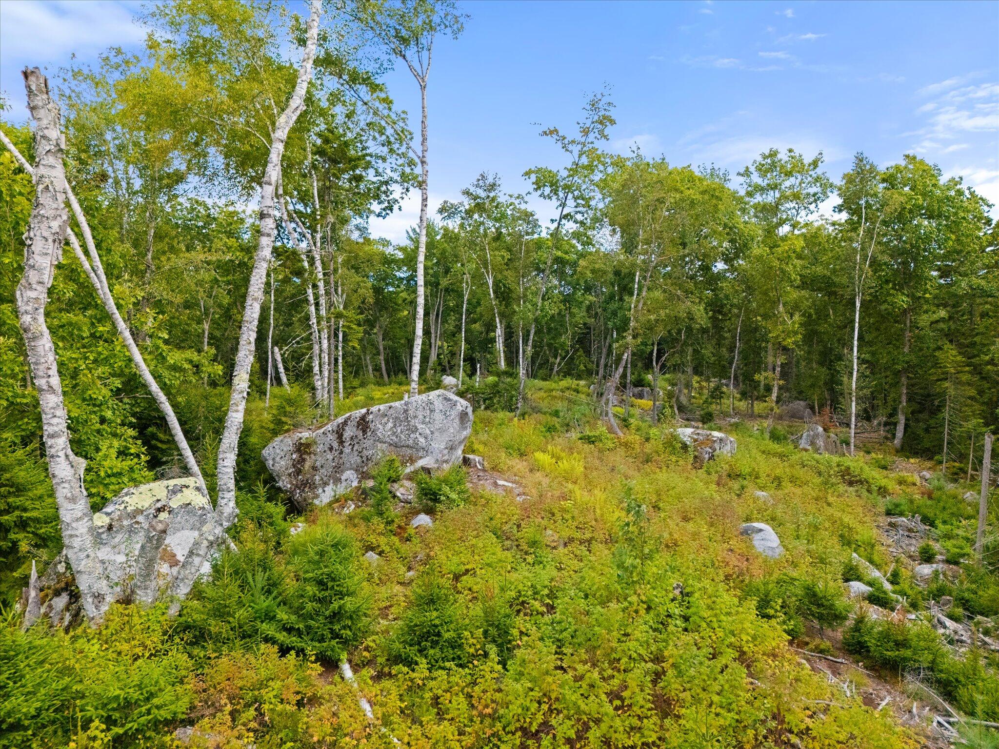 8 Sherburne Point Road Orland, ME 04472 - Photo 14 of 21 20-Castine Rd Orland