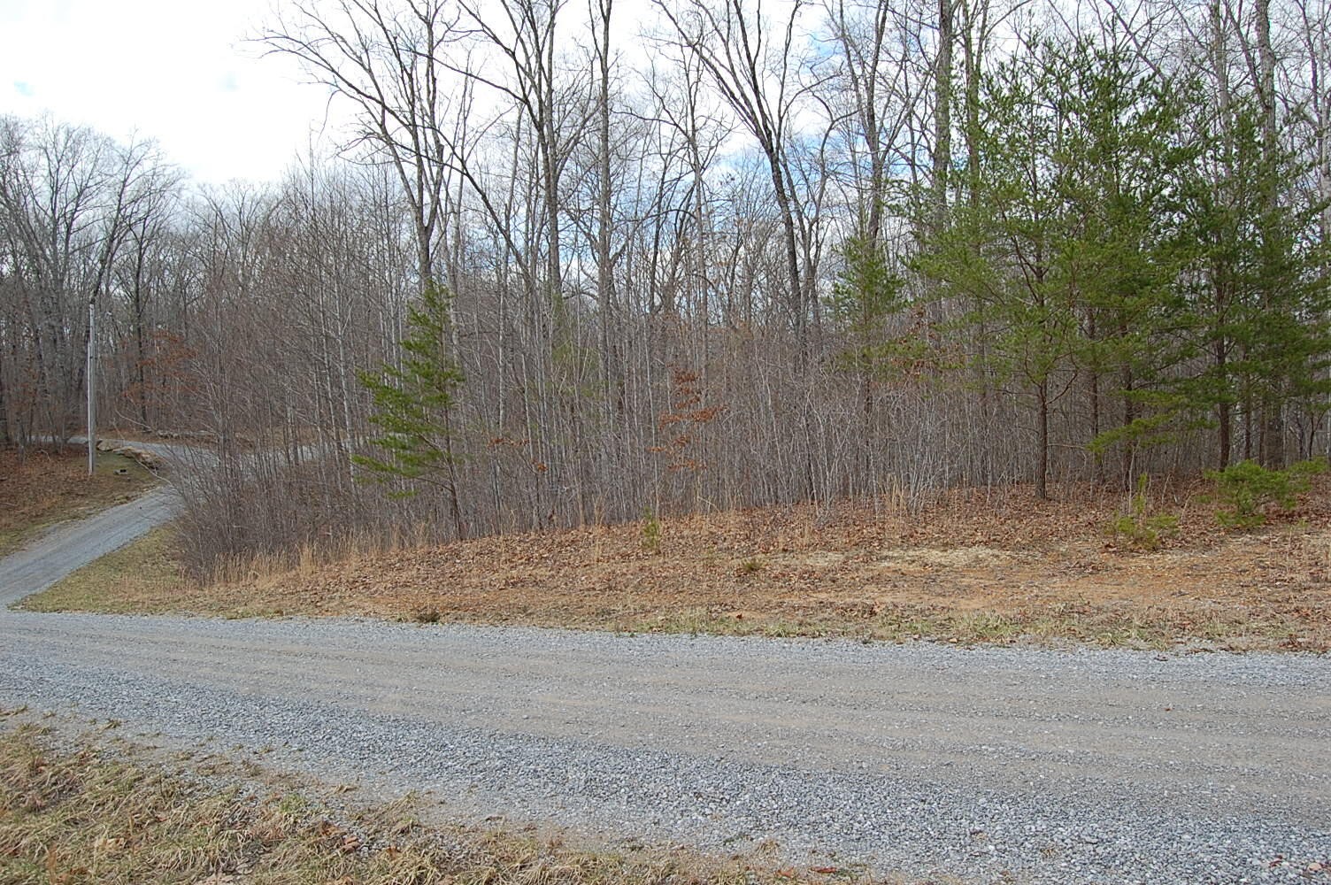 Gallery Image 6