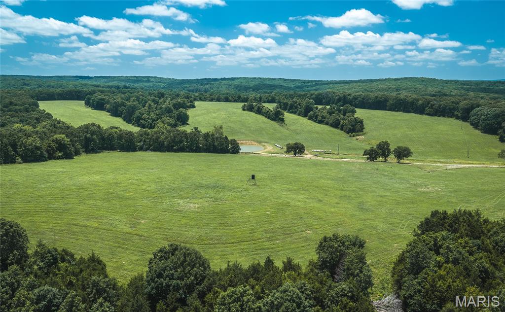 171 Czar Tower Road Steelville, MO 65565 - Photo 48 of 54