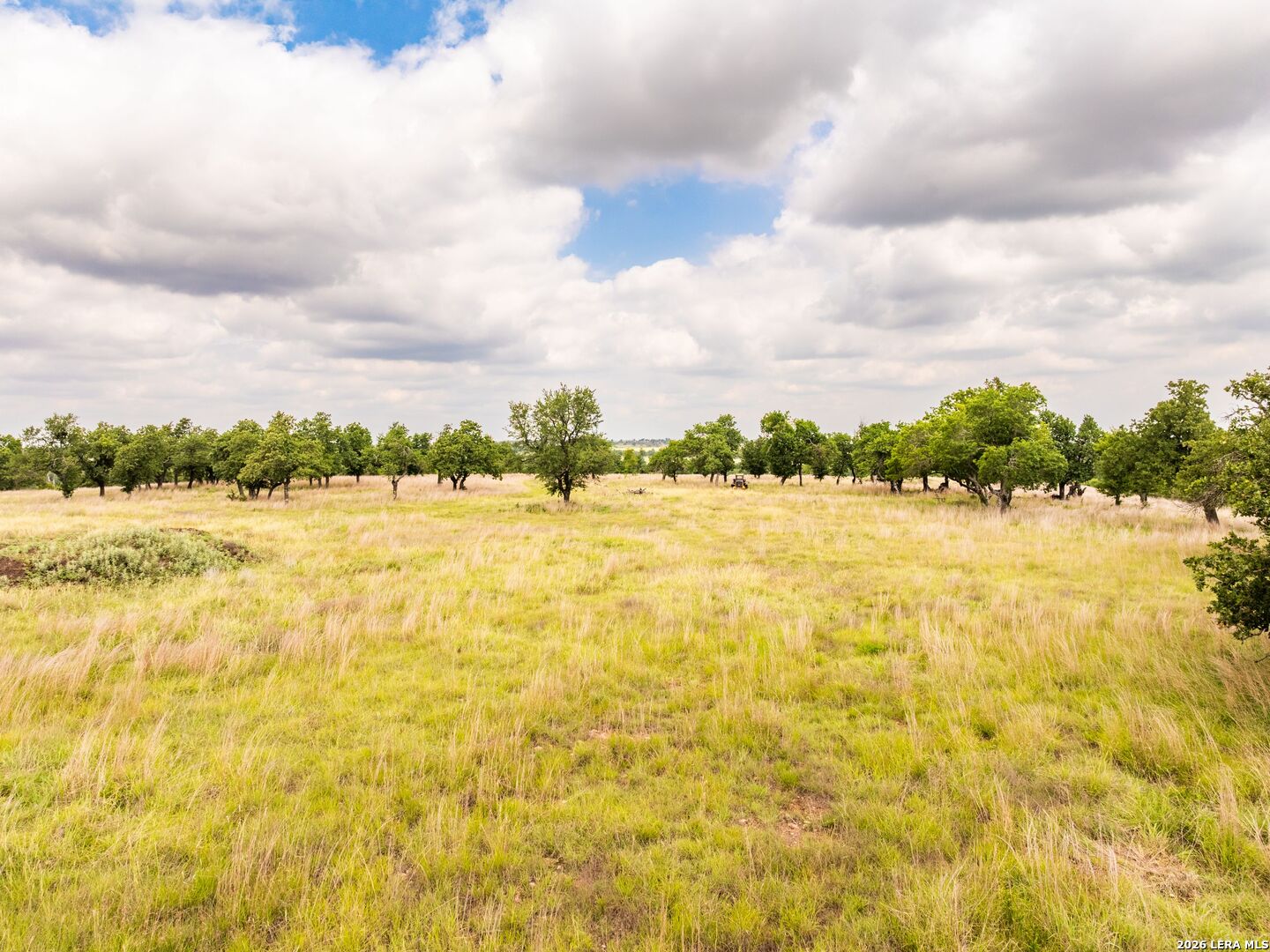 596 Ruger Road Fredericksburg, TX 78624 - Photo 19 of 30