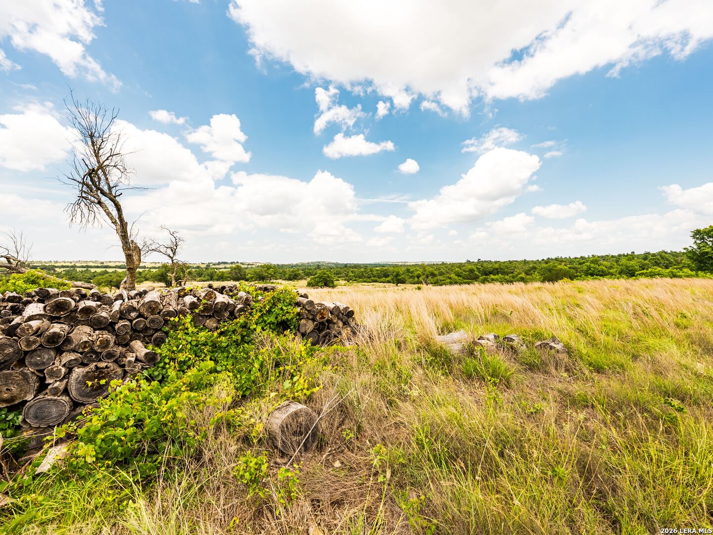 596 Ruger Road Fredericksburg, TX 78624 - Photo 27 of 30
