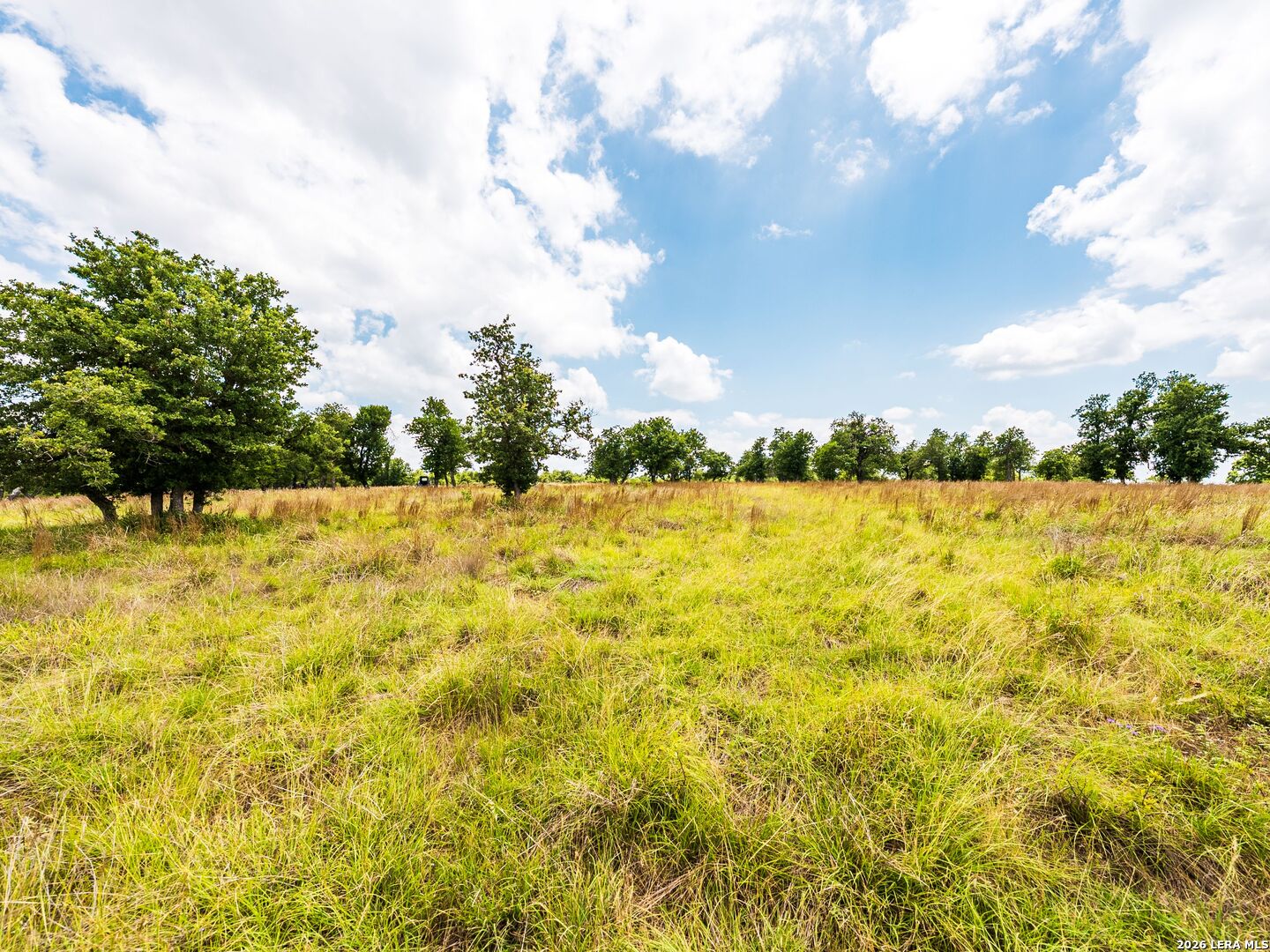 596 Ruger Road Fredericksburg, TX 78624 - Photo 28 of 30