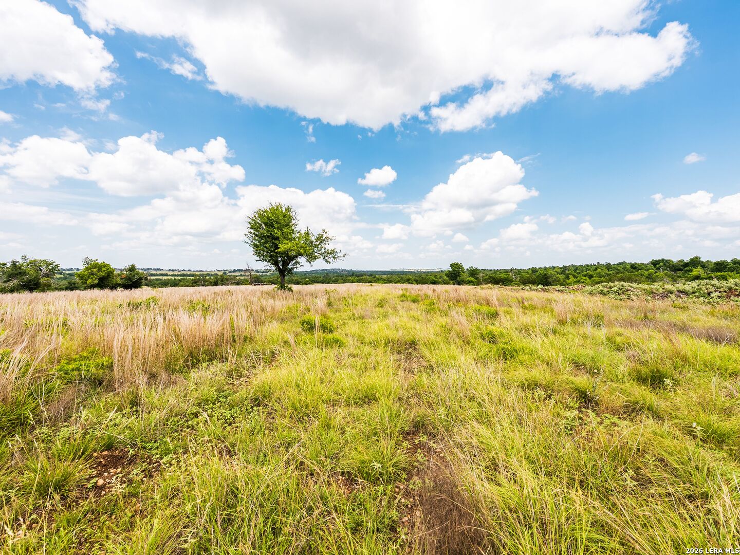 596 Ruger Road Fredericksburg, TX 78624 - Photo 29 of 30