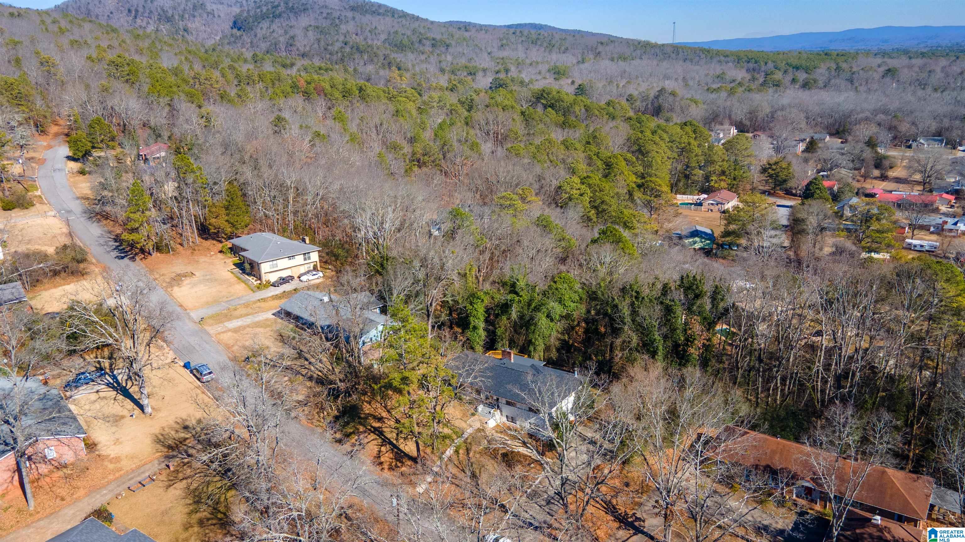 213 Druid Hills Road Anniston, AL 36207 - Photo 25 of 25