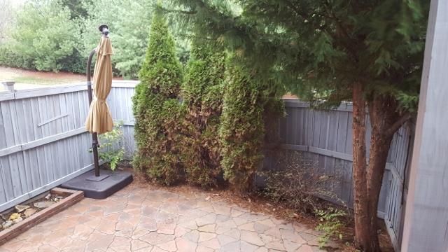 1523 Decatur Circle Franklin, TN 37067 - Photo 13 of 15 Nice privacy in your patio area. And HOA takes care of the yard and fence maintenance