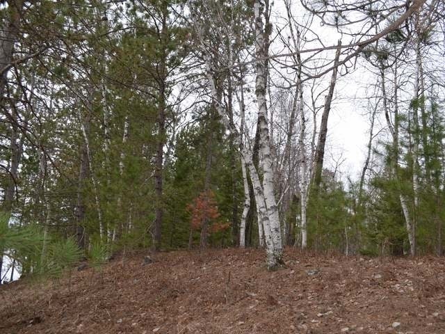 Lot 3 Forrester Road Tomahawk, WI 54487 - Photo 14 of 20 Gallery Image 14