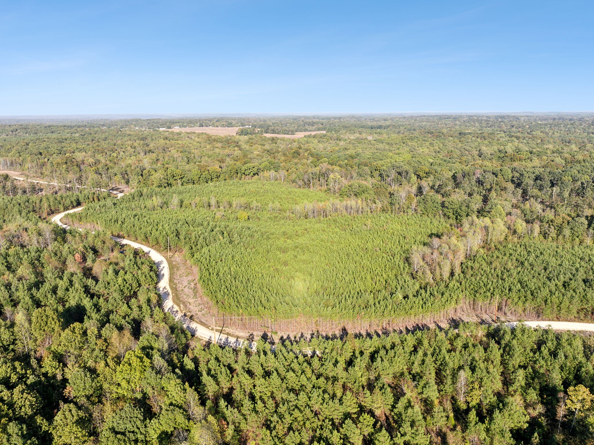 0 Cox Hollow Road Dover, TN 37058 - Photo 1 of 2 Gallery Image 1