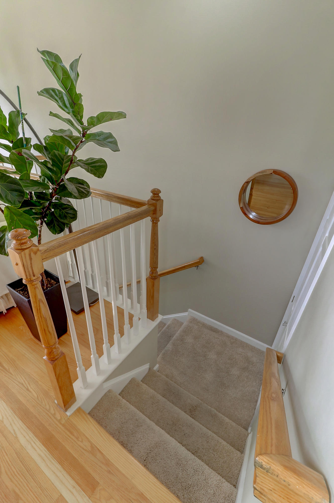 256 Fair Sailing Road Mount Pleasant, SC 29466 - Photo 2 of 51 Foyer Stairs