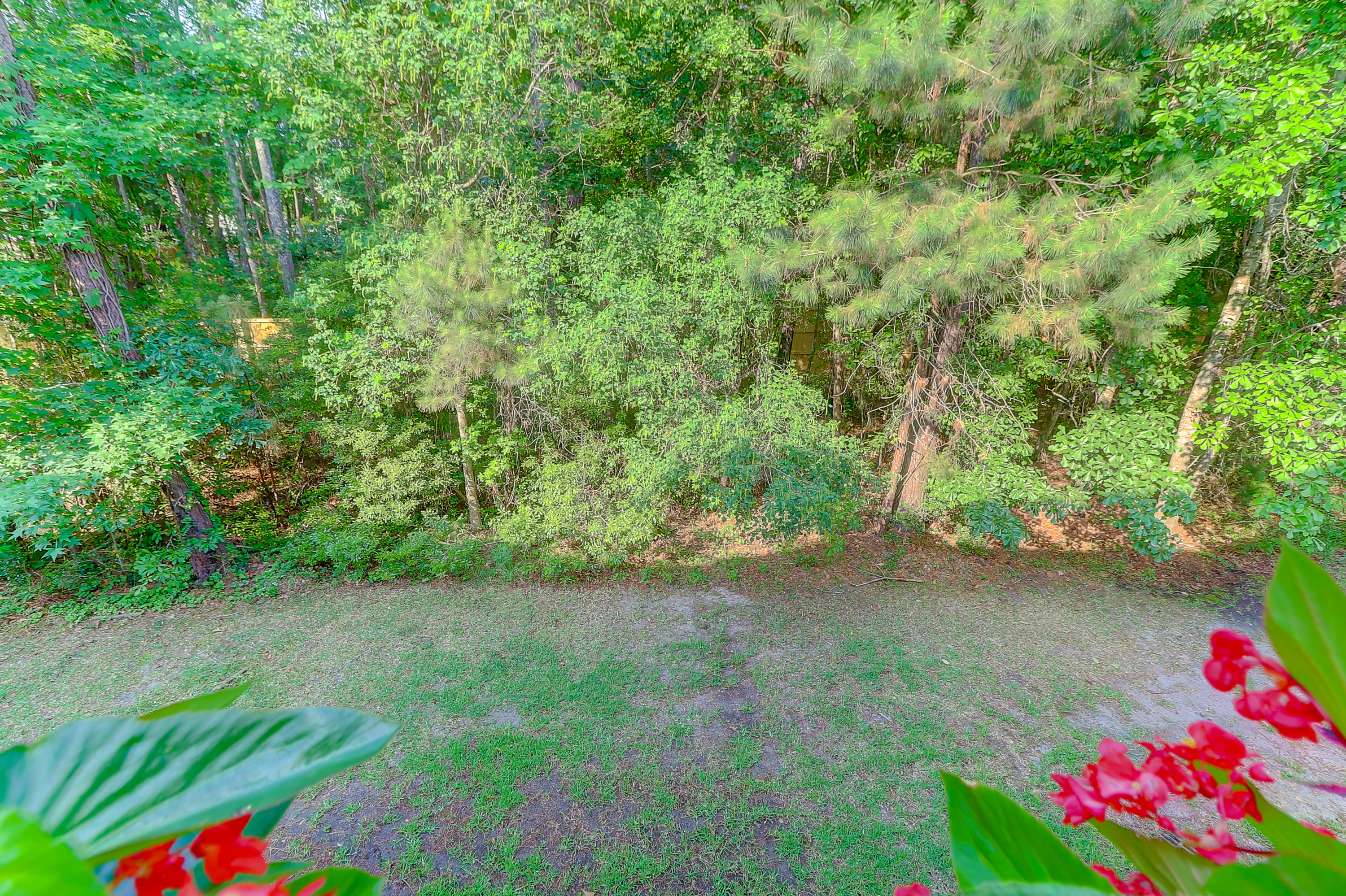256 Fair Sailing Road Mount Pleasant, SC 29466 - Photo 26 of 51 Backyard