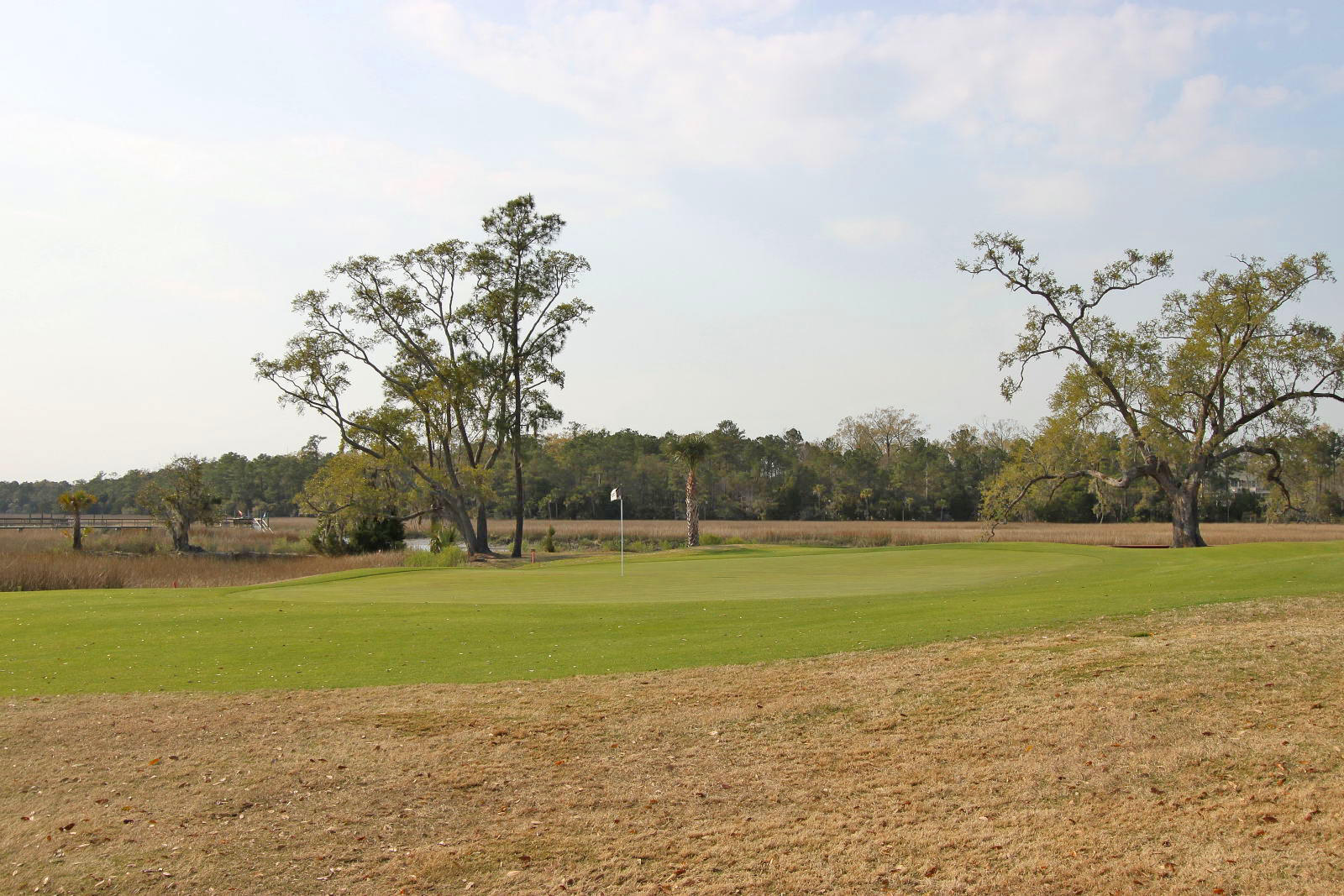 256 Fair Sailing Road Mount Pleasant, SC 29466 - Photo 50 of 51 Golf Course