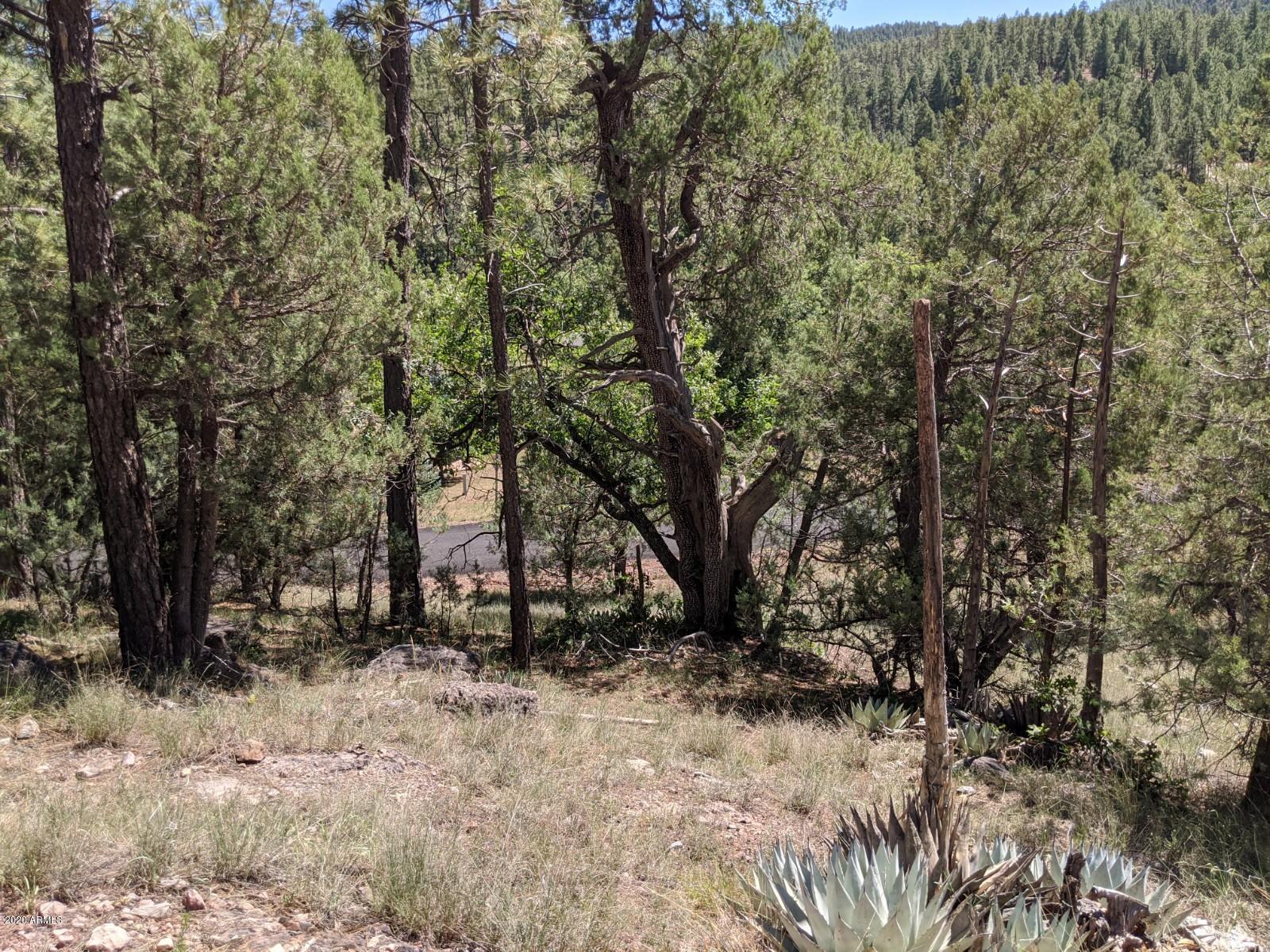 82 Memory Lake, Unit 82 Payson, AZ 85541 - Photo 6 of 7 IMG_20200810_142141