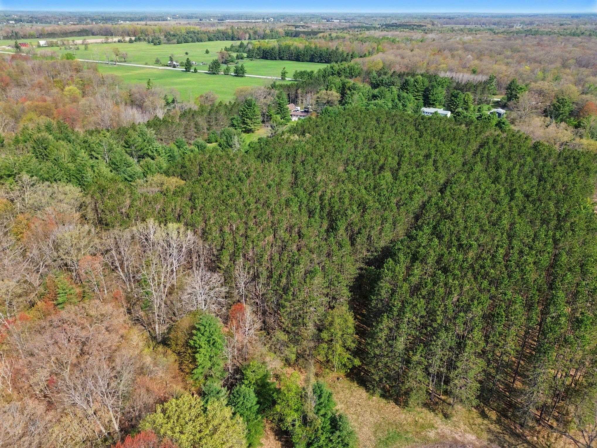 5711 Old State Road Whittemore, MI 48770 - Photo 10 of 32 Gallery Image 10