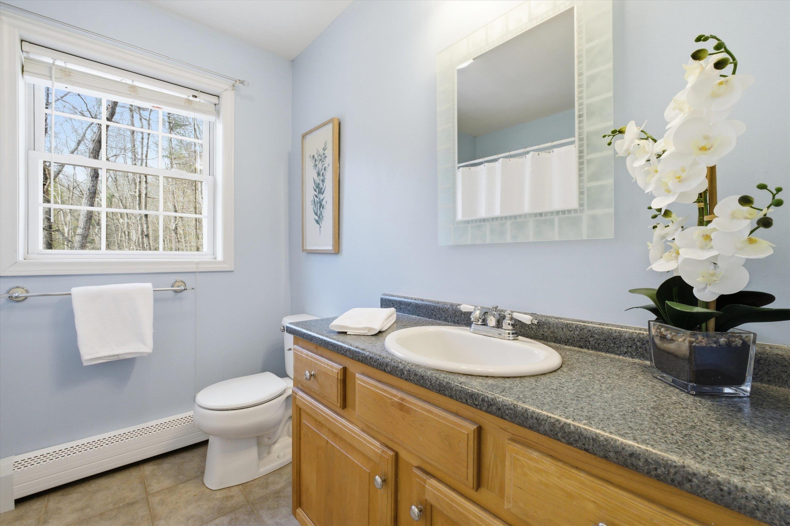 64 Peppermint Street Goffstown, NH 03045 - Photo 34 of 50