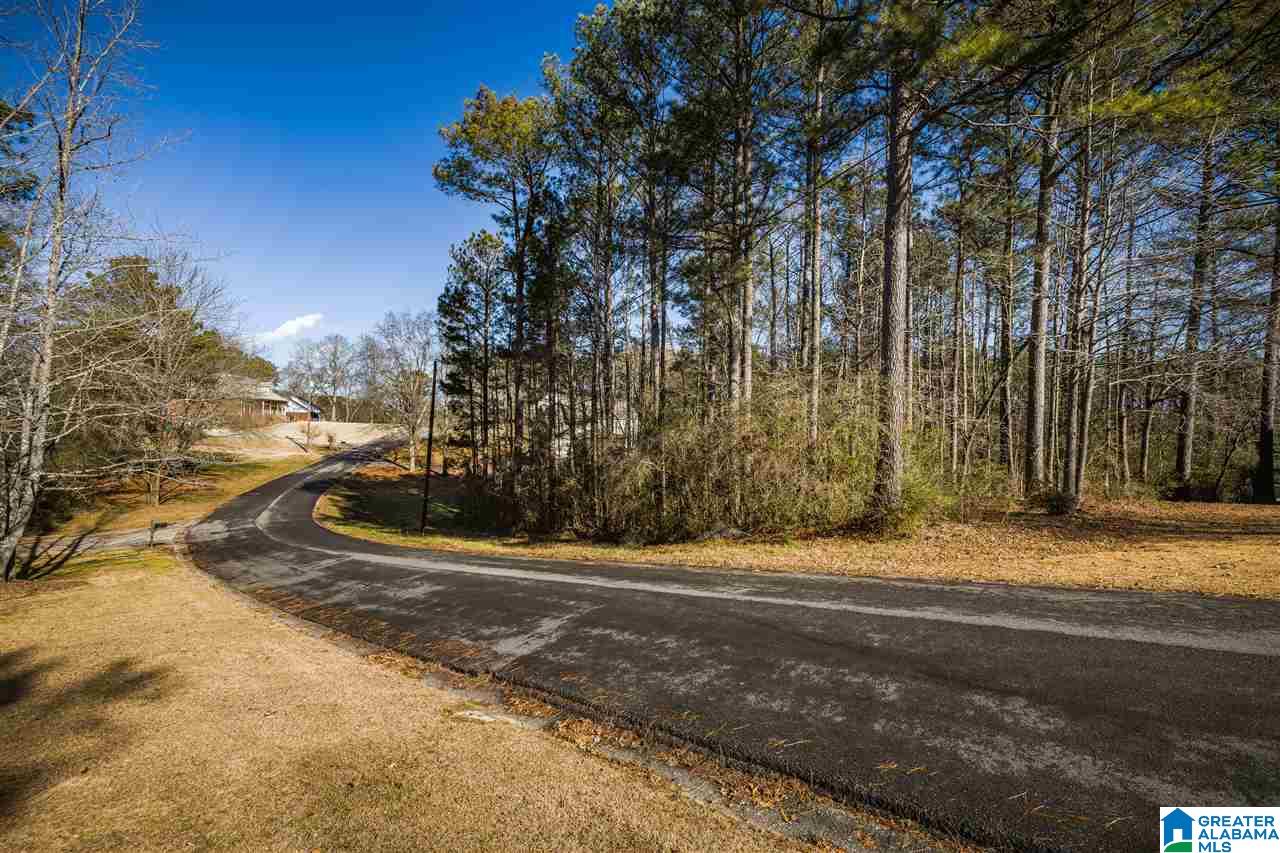 0 Scenic Trail, Unit 1 Oneonta, AL 35121 - Photo 4 of 18