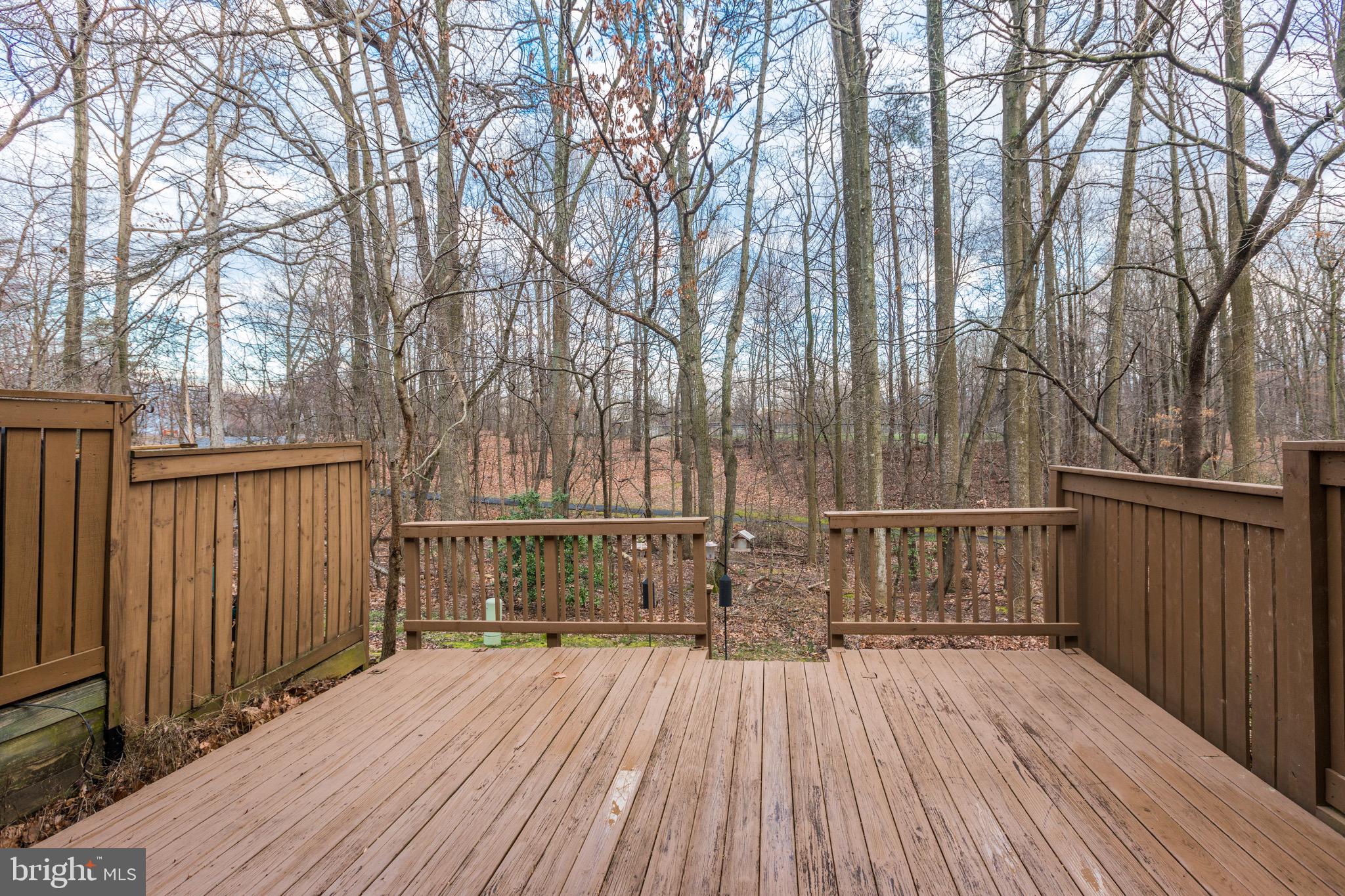 11902 Escalante Court Reston, VA 20191 - Photo 48 of 57 Gallery Image 48