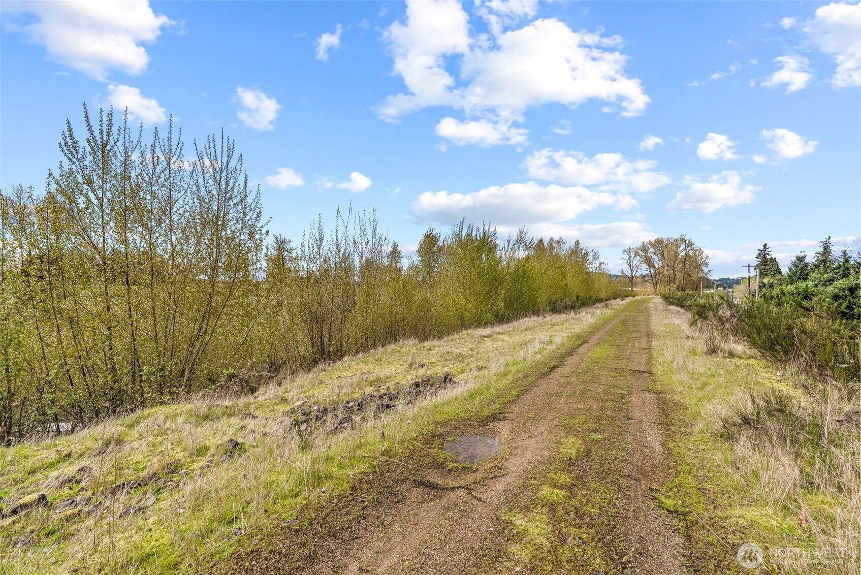 0 South River Road Kelso, WA 98626 - Photo 12 of 19 Gallery Image 12